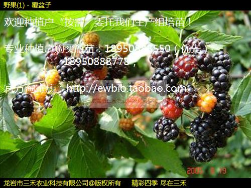 Ұ(1) - 