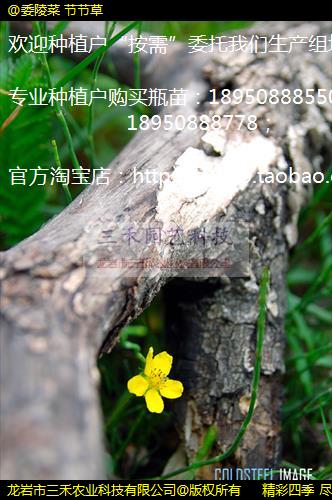 @ί ڽڲ