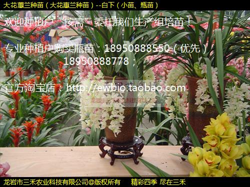 ޥ磨󻨻磩--£С硢ƿ磩