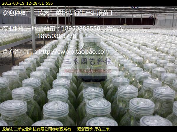 2012-03-19_12-28-51_556
