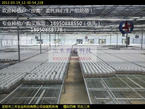 2012-03-19_12-30-54_228