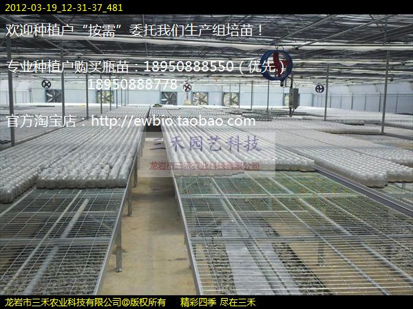 2012-03-19_12-31-37_481