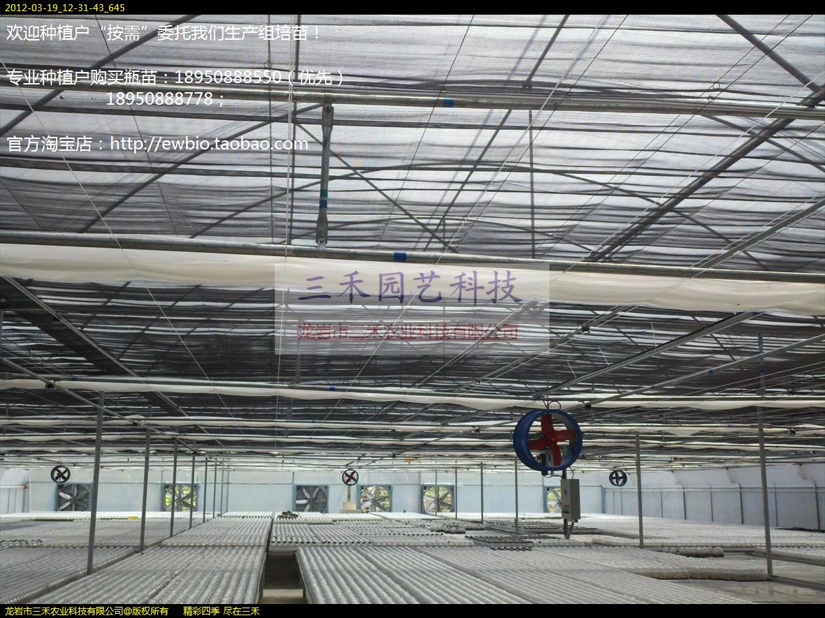 2012-03-19_12-31-43_645