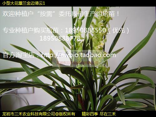 Сʹޥ1