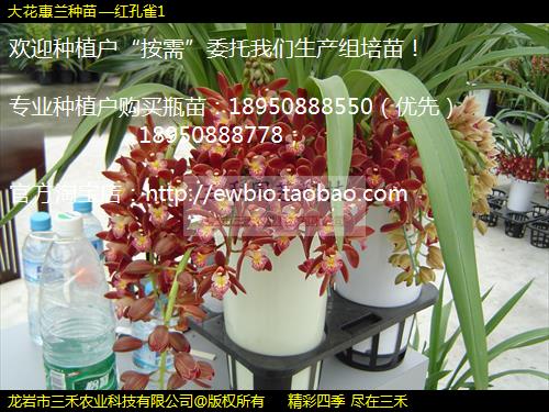 󻨻硪ȸ1