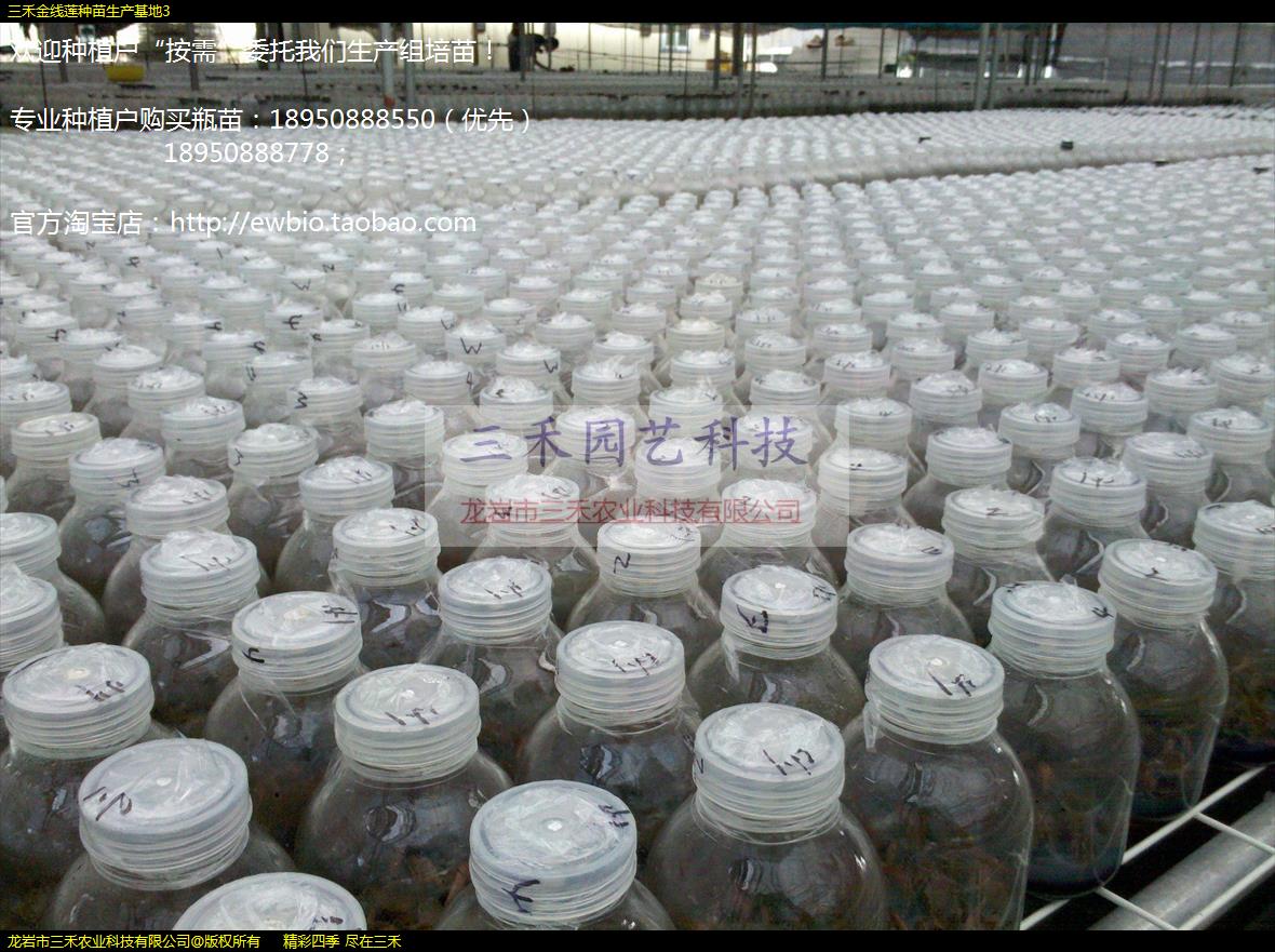 ���̽�����������������3