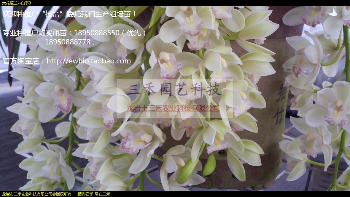 ޥ--3