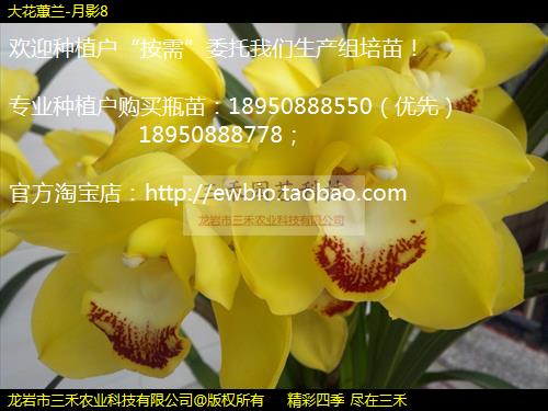 ޥ-Ӱ8